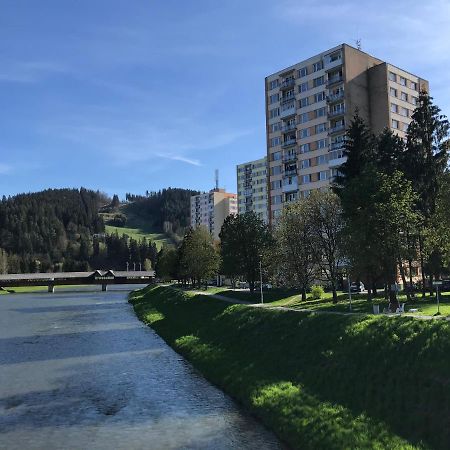 Sunny Appartment By The River Дольни-Кубин Экстерьер фото